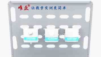 4i小狗憋尿憋到尿失禁怎么办 - 原因与纠正训练