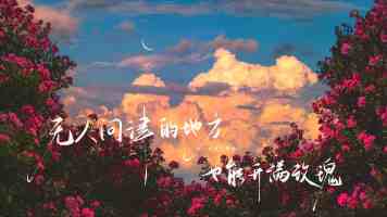 糖心御梦子｜从默默无闻到走红，她的作品与圈内评价