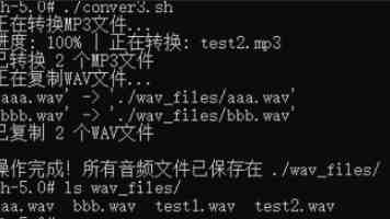 全球瞭望丨土耳其媒体：美国未给加沙民众带来任何有意义的救济